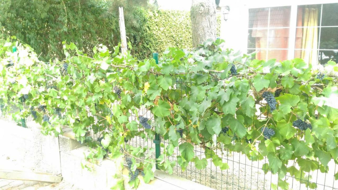 Suita U Toma Vestec  Exteriér fotografie